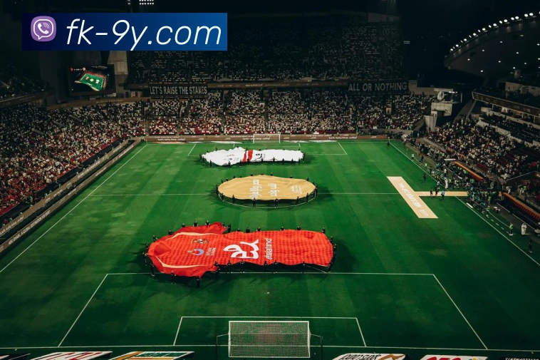 九游官网APP 封面图